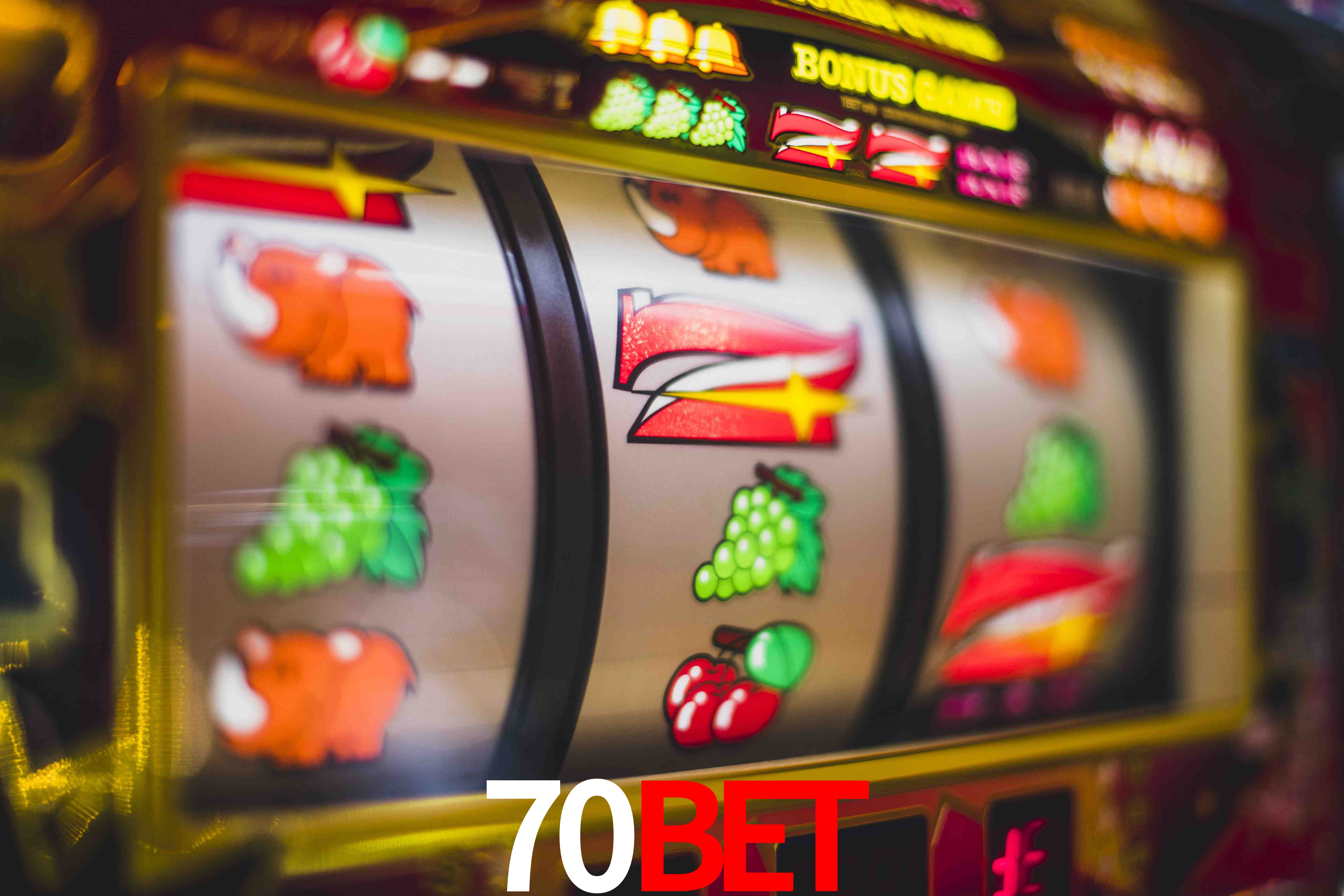 Sports Statistics 70bet